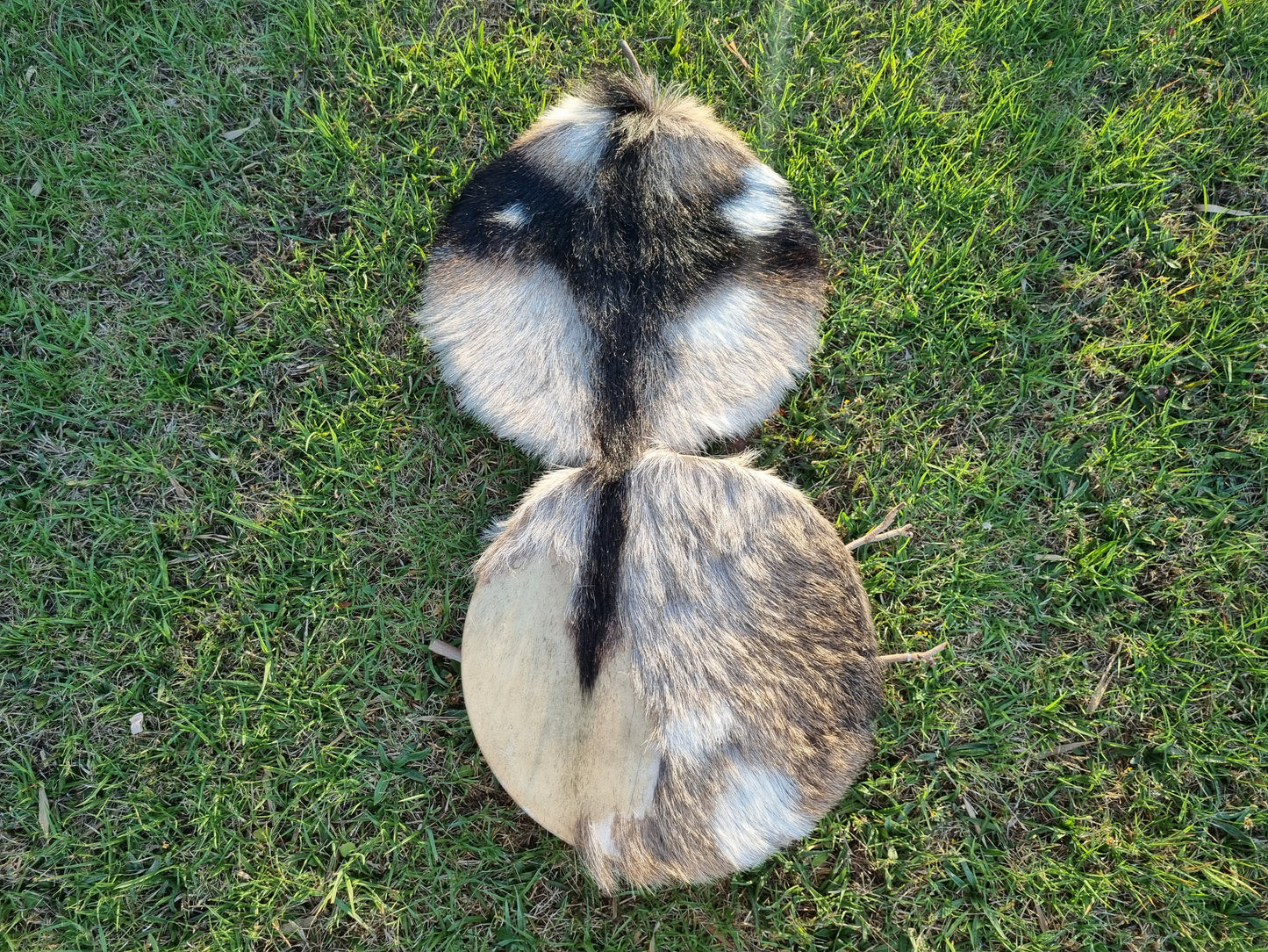 Full Moon Shamanic Twin Drums  | 滿月雙子薩滿鼓