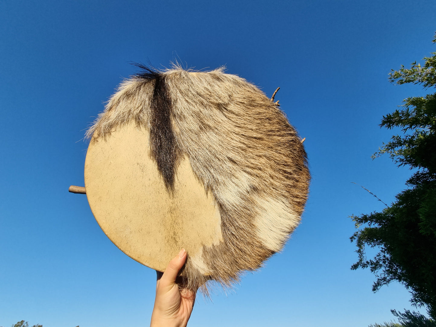 Full Moon Shamanic Twin Drums  | 滿月雙子薩滿鼓