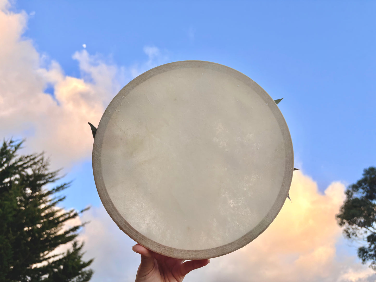 Flower Moon Shamanic Drum No.2 | 花月薩滿鼓貳