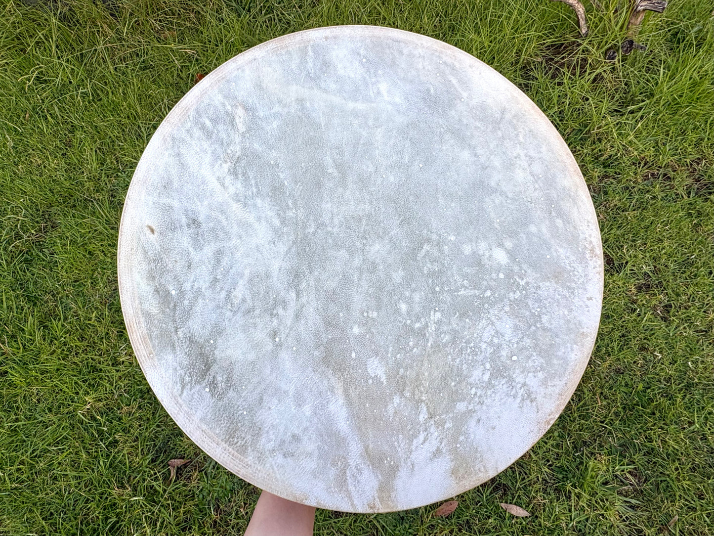 Flower Moon Shamanic Drum No.3 | 花月薩滿鼓叁